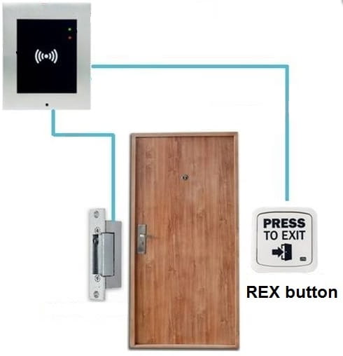 REX nutton
