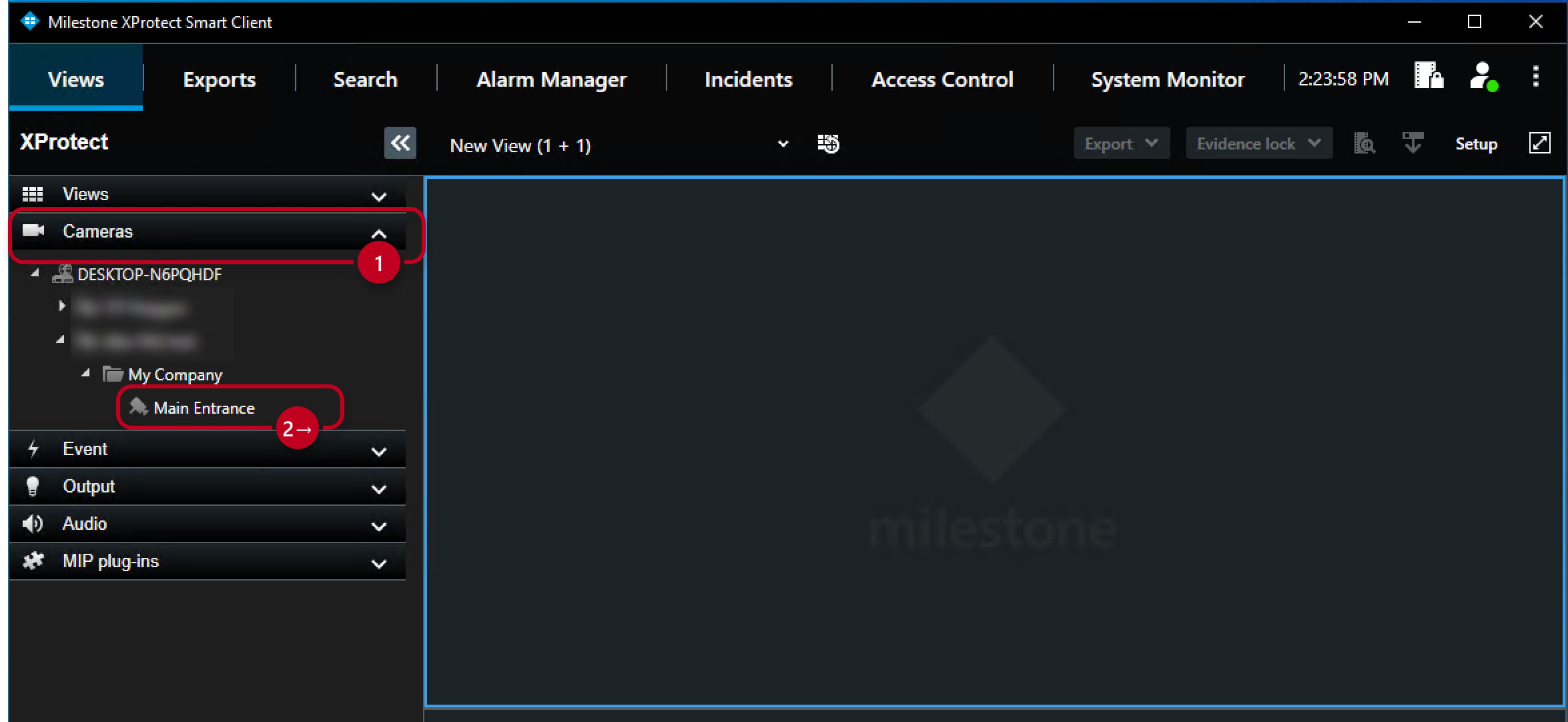 Milestone - Camera preview