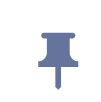 Pin icon